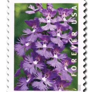 Wild Orchids Forever Stamps
