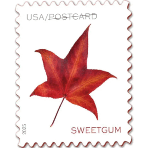 Postcard Rate Stamps 2025 Autumn Leaves ?C Nature Series, First-Class Rate